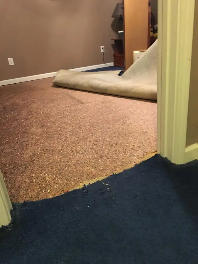 Carpet pad removal revealing water damage during Drying & Dehumidification in Picayune