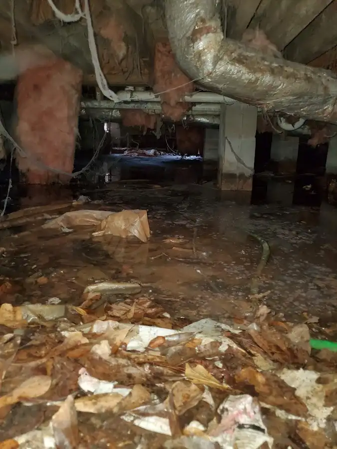 Crawl space flood assessment for Leak Detection & Repair in Picayune
