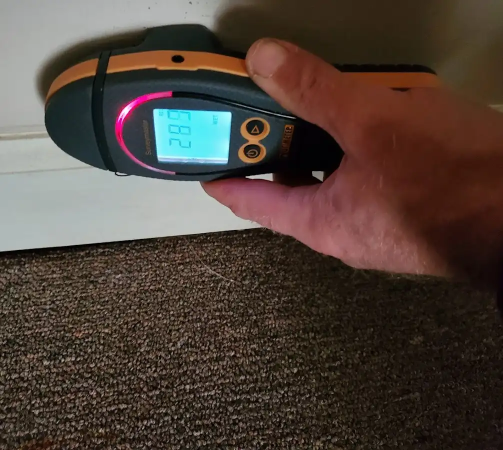 Moisture detection at baseboard during Burst Pipe Cleanup in Picayune